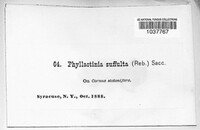 Image Associated With the Occurence